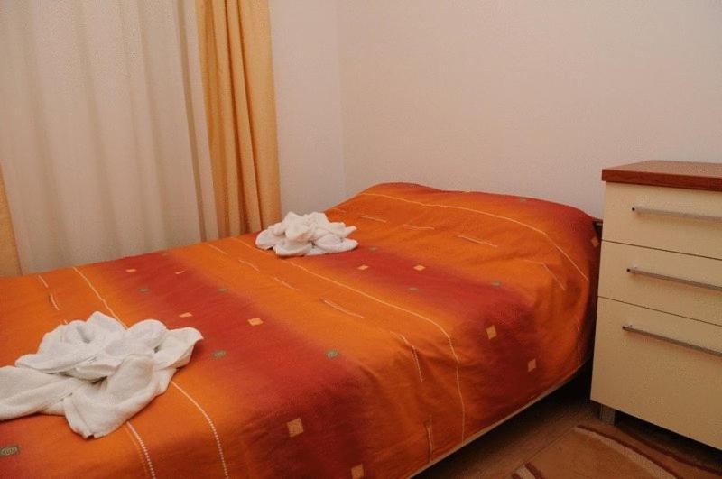 Northern Star Bansko Quarto foto